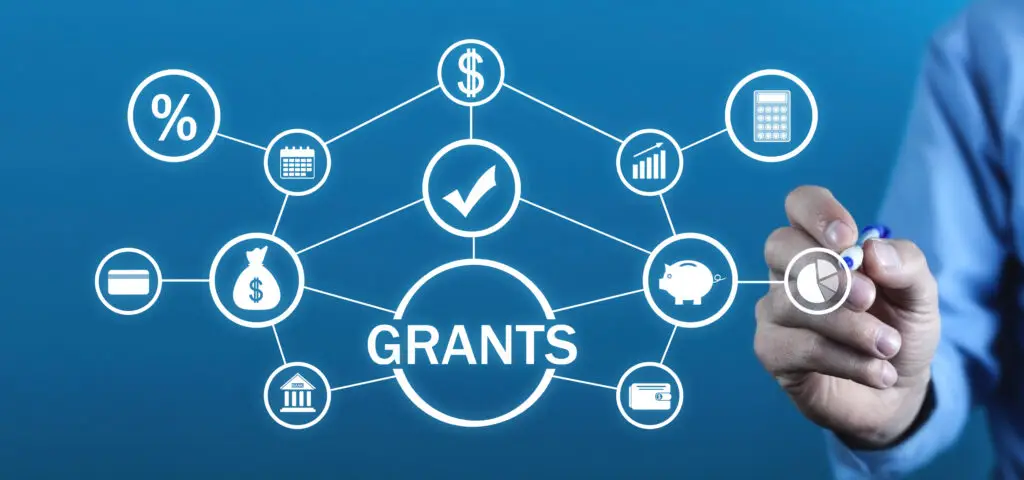 Decoding the Grants Maze: A Beginner’s Guide for SMEs